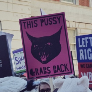 pussy-grabs-back