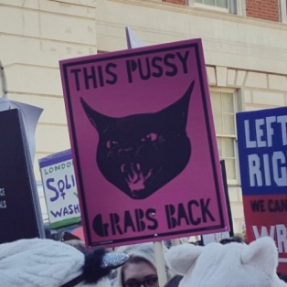 pussy-grabs-back