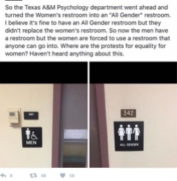 Texas toilets